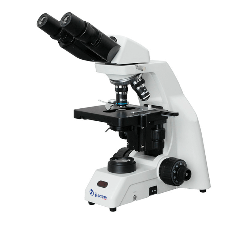 Interpretación de resultados y lectura de mediciones en el microscopio YR0239-1