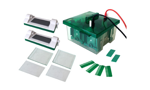 Principio de funcionamiento y fundamentos científicos de la celda de electroforesis vertical de miniproteína YR03427