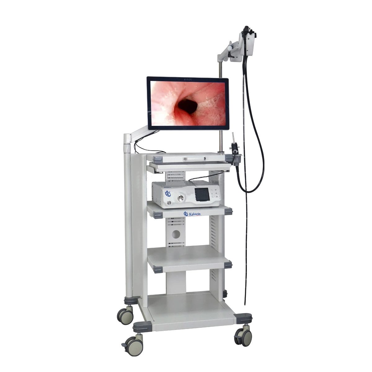 Garantía y vida útil esperada del endoscopio de video veterinario YR06145