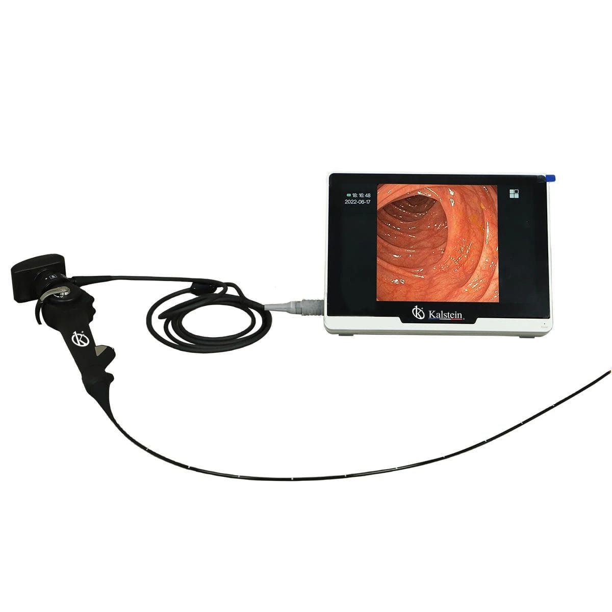 Interpretación de Resultados y Lectura de Mediciones con el Endoscopio de Vídeo Veterinario Portátil YR06152