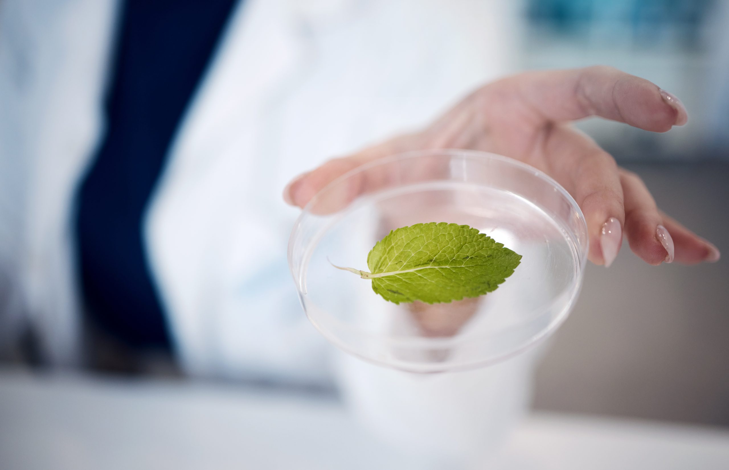 ¿Cuáles son las diferencias entre fluorómetros y espectrofluorómetros?