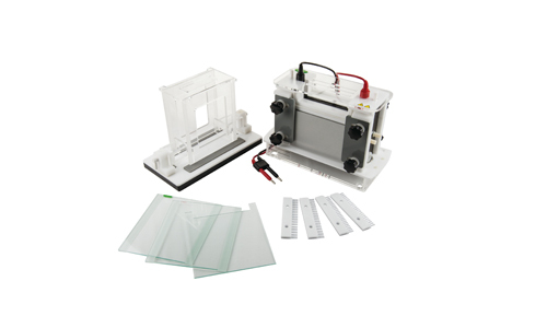 ¿Cuáles son los principios de la electroforesis?