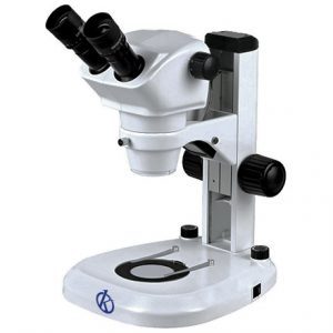 ¿Por qué es importante el uso del microscopio en veterinaria?