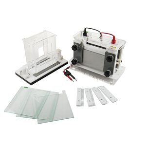 Ideando el Futuro Científico: Impulsando la Investigación con Equipos de Electroforesis de Alta Calidad de Kalstein